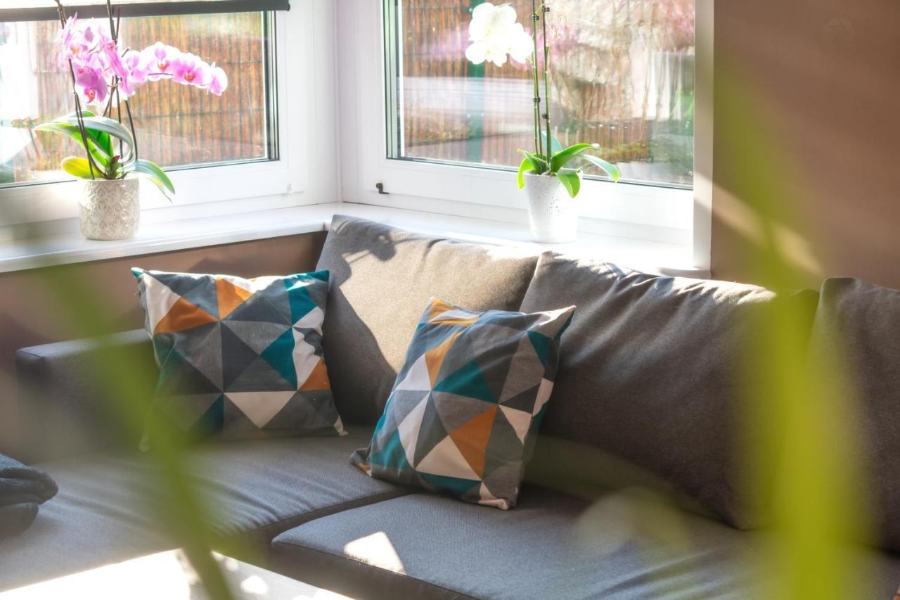 Apartament U Hippkow يلينيا غورا المظهر الخارجي الصورة